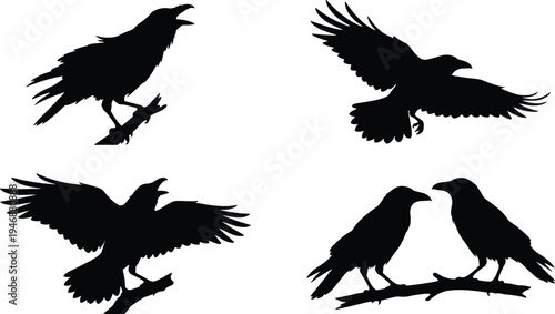 WebRaven, crow, silhouette, set, black, bird, flying, perching, on, branch, calling, with, open, beak, vector, wild, animal, spooky, nature, icons.