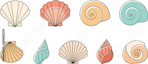 Pastel seashell collection with scallop and spiral shells, cute beach ocean elements set for summer design, coastal decor and marine vector illustration