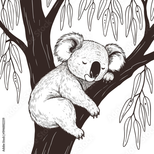 Generated on Adorable Sleeping Koala in Eucalyptus Tree, Line Drawing, Cartoon on white background