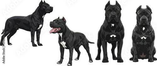 Black Dogo Sardesco dog sitting facing front standing profile pose set