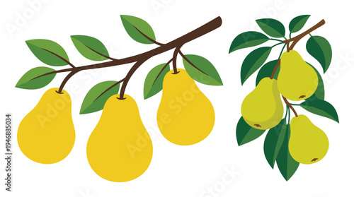 Two branches of yellow pears with green leaves on transparent background