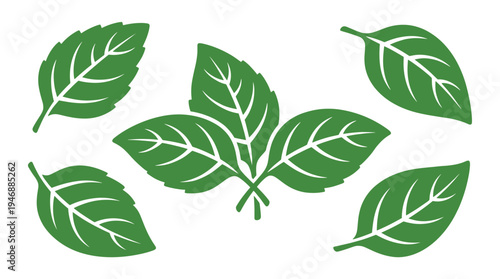 A set of green leaf icons in a simple flat vector style. Symbolizes nature, ecology, and freshness. Perfect for organic, vegan, and eco friendly logos or web design.