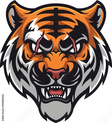 Tiger head illustration fierce expression with orange and black stripes