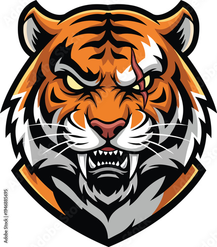 Tiger head illustration fierce predator with striking orange and black markings