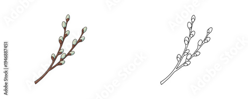 Willow branches cartoon illustration with soft buds in brown and grey colors representing spring nature and Easter symbols on white background