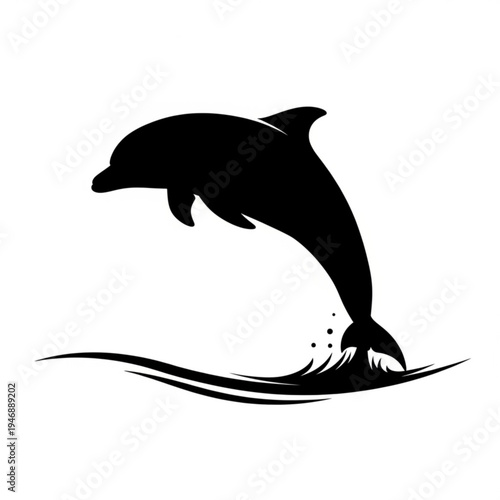 Black dolphin jumping out of water
