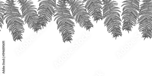 Fern leaf seamless border vector outline isolated white. Botanical drawing with lush foliage black white on repeat edge. Leaves horizontal pattern for designs packaging, wallpaper. Pteridophyte print.