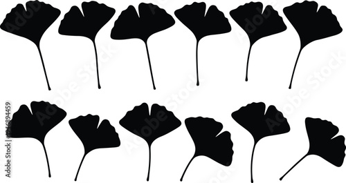 Collection of ginkgo leaf silhouettes in fan shapes, botanical vector illustrations for nature design, plant art, and educational projects