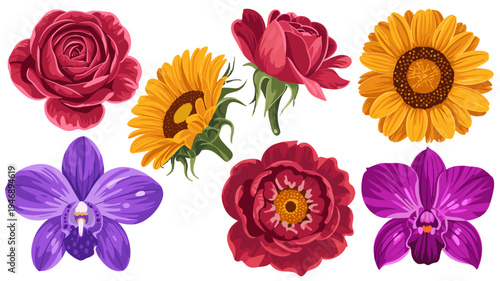 A Colorful floral collection of various flowers.