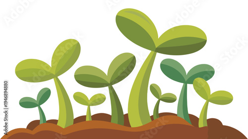 New green sprouts emerging from the earth.