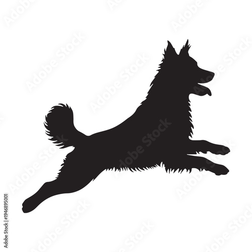 Akbash Dog – Loyal Turkish Livestock Guardian, Powerful White Shepherd Breed, Intelligent Protector, Brave Farm Dog, Calm Temperament, Family Friendly, Working Guardian, Rare Herding Dog, Strong.