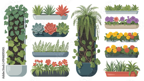 A variety of potted plants and flowers in a collection.