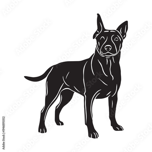 Akbash Dog – Loyal Turkish Livestock Guardian, Powerful White Shepherd Breed, Intelligent Protector, Brave Farm Dog, Calm Temperament, Family Friendly, Working Guardian, Rare Herding Dog, Strong.