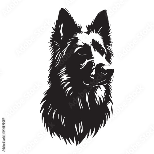 Akbash Dog – Loyal Turkish Livestock Guardian, Powerful White Shepherd Breed, Intelligent Protector, Brave Farm Dog, Calm Temperament, Family Friendly, Working Guardian, Rare Herding Dog, Strong.