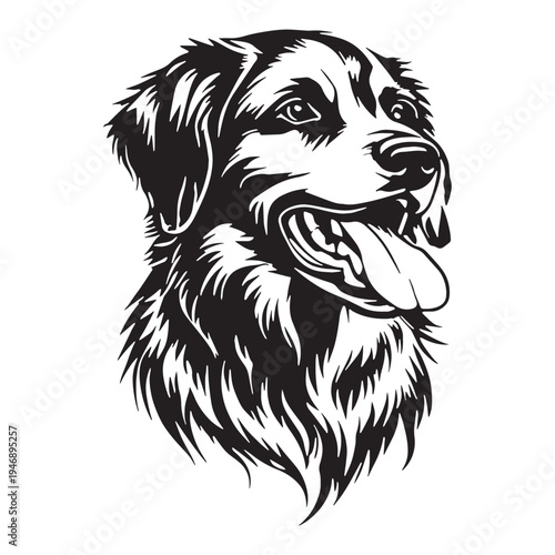 Akbash Dog – Loyal Turkish Livestock Guardian, Powerful White Shepherd Breed, Intelligent Protector, Brave Farm Dog, Calm Temperament, Family Friendly, working Guardian, Rare Herding Dog, Strong.