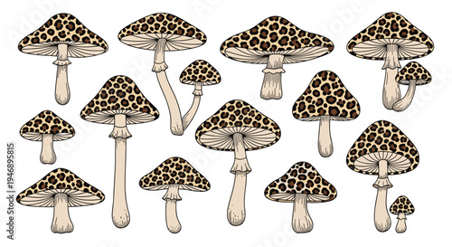 Unique collection of hand-drawn mushrooms with exotic leopard print patterns on their caps isolated on a clean white background.