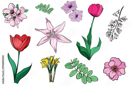  Spring floral set with tulips lilies and small garden blossoms vector