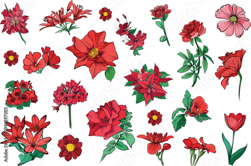 Large collection of red flowers in decorative botanical clipart arrangement vector