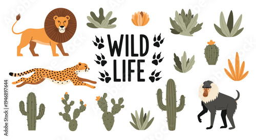 African wildlife scene includes a lion, a cheetah, a baboon, and various desert plants with the text wild life in the center.