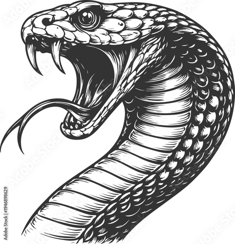 Cobra snake head roaring vintage engraving vector illustration