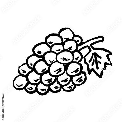 Grapes doodle, hand drawn grape bunch sketch with leaf, simple fruit line art. Grapes vintage ink drawing, rustic vineyard berry cluster organic food symbol.