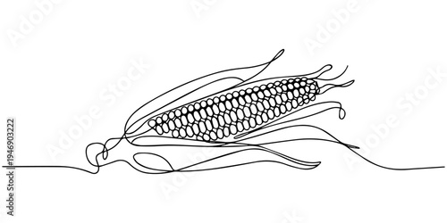 corn continuous one line drawing, Maize ear in continuous line art drawing style. Corn cob black linear sketch isolated on white background, one line Art icon drawing. Continuous one line drawing