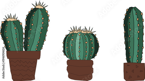 Set of three potted cactus succulents icons vector