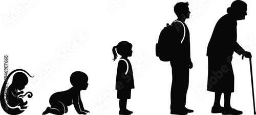 Silhouette human life stages illustration, fetus baby child teenager adult elderly progression vector design, aging development concept artwork – flavector