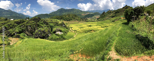 Konstfotografi Rizière - région montagneuse de Sapa au Vietnam.