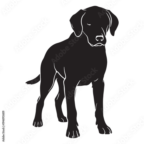 Armenian Gampr Dog – Ancient Livestock Guardian Breed, Powerful, Loyal, Protective Mountain Dog from Armenia, Natural Working Dog, Rare Shepherd Breed, Intelligent Protector, Strong, Brave.