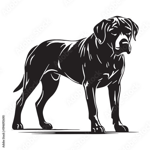 Armenian Gampr Dog – Ancient Livestock Guardian Breed, Powerful, Loyal, Protective Mountain Dog from Armenia, Natural Working Dog, Rare Shepherd Breed, Intelligent Protector, Strong, Brave.