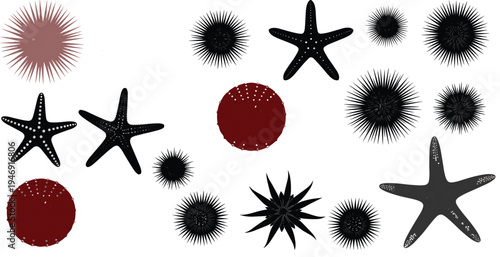 Starfish silhouette, sea urchin illustration, marine life vector, ocean animals artwork, underwater nature design, aquatic decorative pattern, black gray art