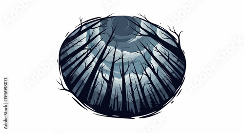 A view looking up through dark trees at a cloudy night sky