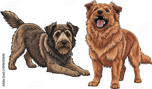 Dutch Smoushond dog stretching play bow barking alert pose set