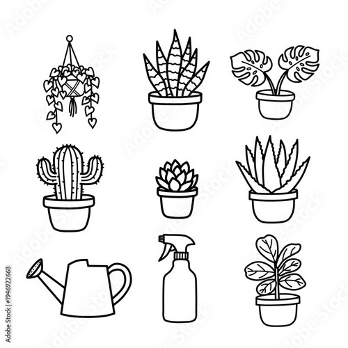 house plants line art illustration bundle minimalist black outline doodle vector icons for coloring and design
