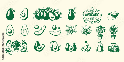 Fresh avocado fruit doodle set, organic healthy food sketch pattern, hand drawn avocado slice vector, culinary kitchen ingredients illustration, vegan diet food design elements, farm fresh produce avo