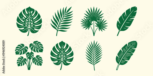 Tropical palm leaves green pattern, exotic jungle foliage background art, monstera and palm leaf vector, summer vacation botanical seamless texture, tropical island nature wallpaper art, organic green