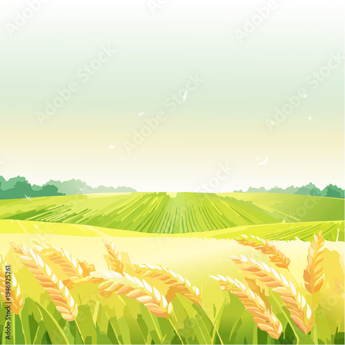 Golden Wheat Field Under a Bright Sky, Symbolizing Abundance and Rural Tranquility