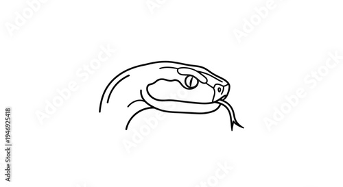 Detailed line drawing of a snake's head with its tongue flicking out, presented in a minimalist black and white style.