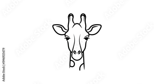 A black and white line art illustration of a giraffe's head, facing forward, with its distinctive ossicones and spotted neck visible.