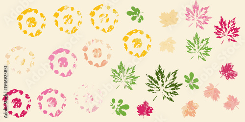 Colorful leaf prints and botanical illustrations on a pale background