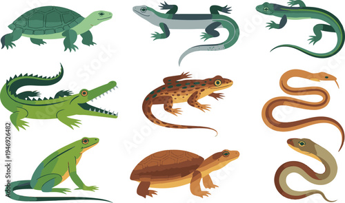 Collection of diverse cartoon style reptile and amphibian animals including turtles lizards snakes and a crocodile vector illustration set