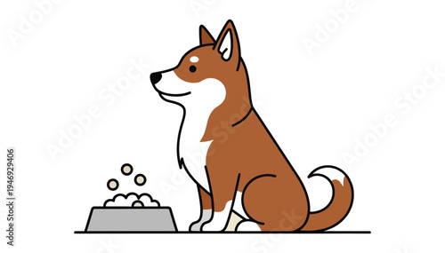 Brown and white dog sitting next to a bowl of food looking hungry and eager for a meal