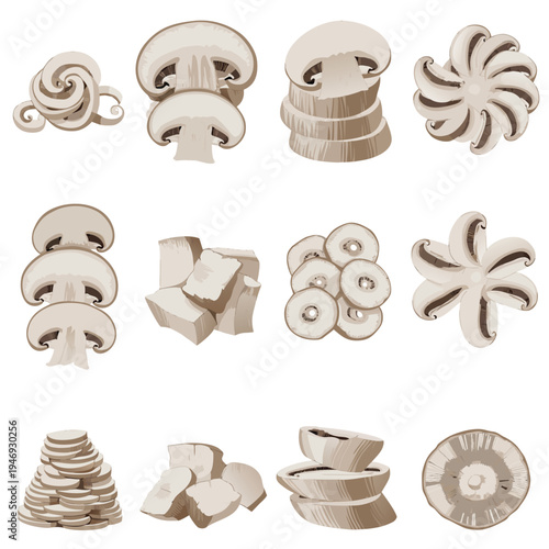 Photorealistic Mushrooms Variety Set Collection Vector Illustration