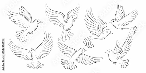 A collection of hand drawn sketches depicting birds in various flight poses