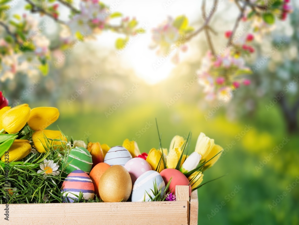 Fototapeta premium Painted easter eggs on spring day with green background