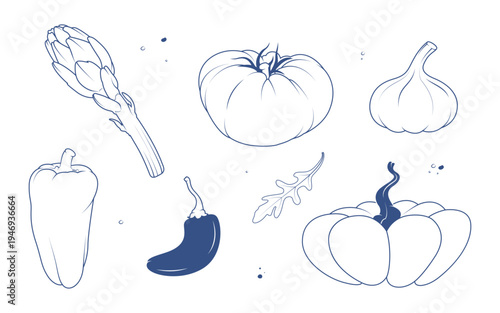 Hand drawn vegetables collection including tomato, garlic, pepper, artichoke and chili. Minimal line art food illustration set for healthy eating, cooking design, grocery packaging and farm market con