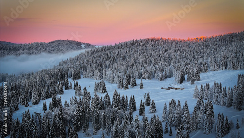 Aerial view of a snow-blanketed forest landscape under a pastel-colored sky, with a hint of mist nestled between the trees, Saint-Cergue, Switzerland.