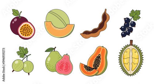 Colorful assortment of fresh fruits