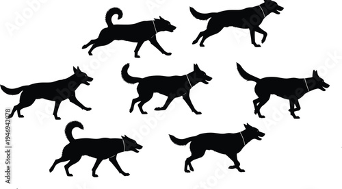 Black Dog Silhouettes Set with German Shepherd and Husky Breeds Running Walking and Standing for Pet Animal Care Training Veterinary and Domestic Canine Vector